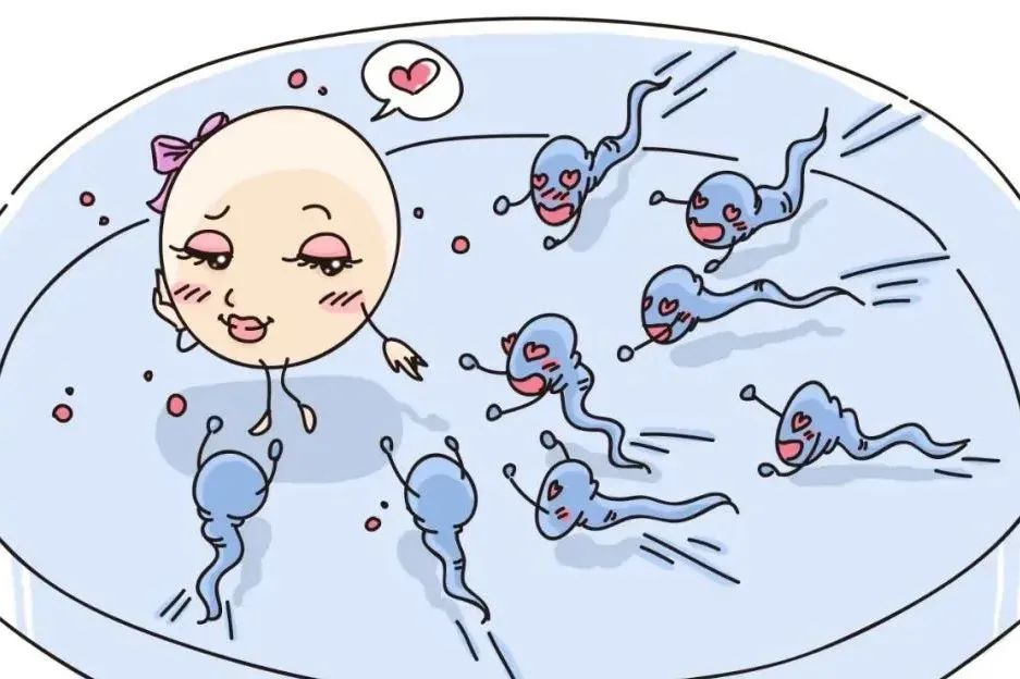 东南亚试管婴儿