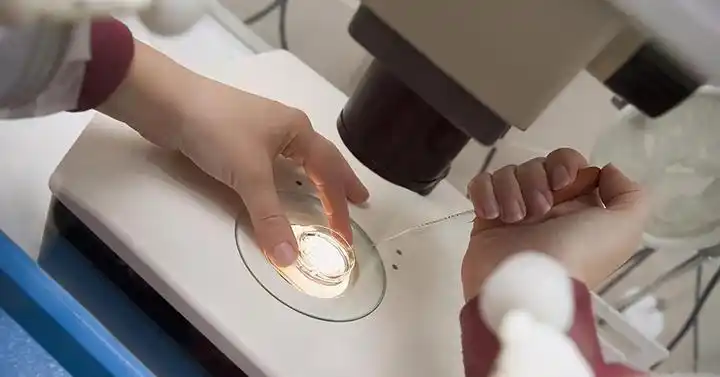 东南亚试管婴儿